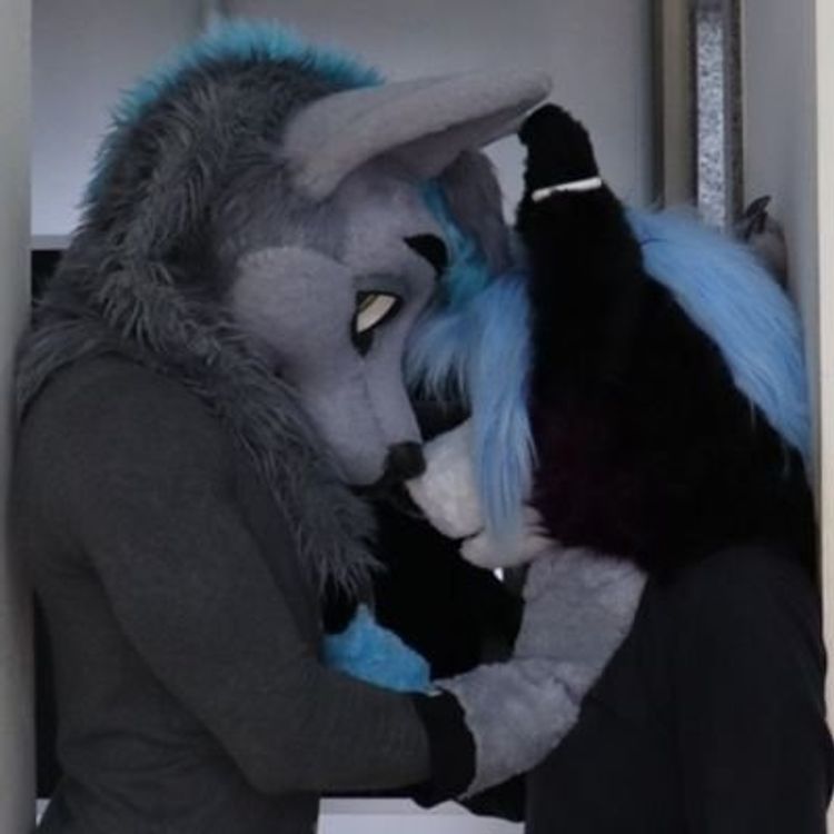 Best Furry OnlyFans Accounts naughty_wolves