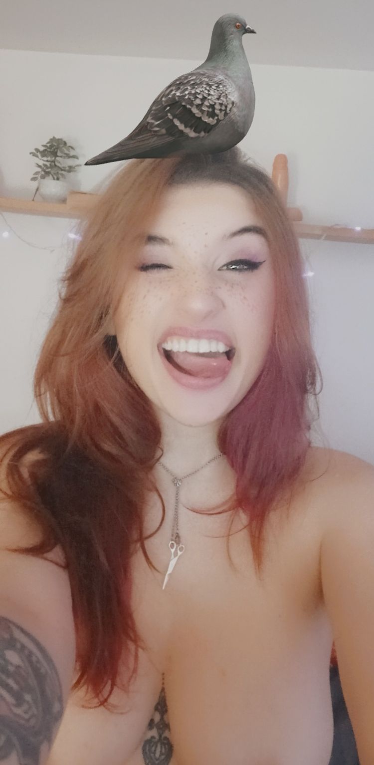 Best Panda OnlyFans Accounts pandacab