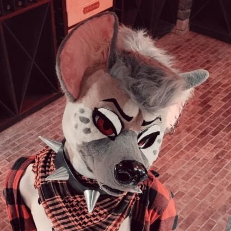 Best MTF OnlyFans Accounts ryffhyena