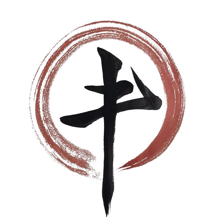 Best Kinbaku OnlyFans Accounts threadsandtomes