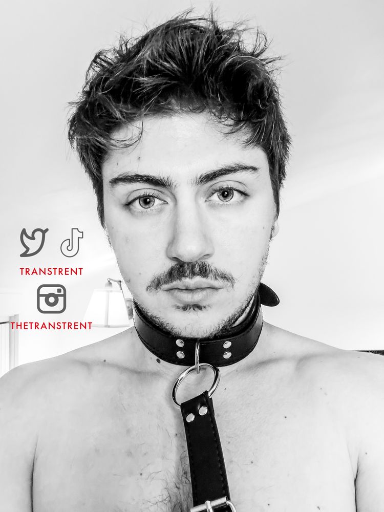 Best FTM OnlyFans Accounts transtrentfree