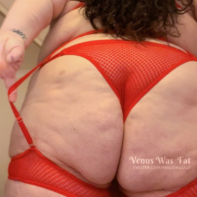Best Niche OnlyFans Accounts venuswasfat